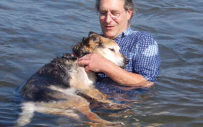 La solidarité des internautes sauve la vie d’un chien