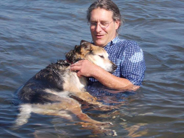 La solidarité des internautes sauve la vie d’un chien
