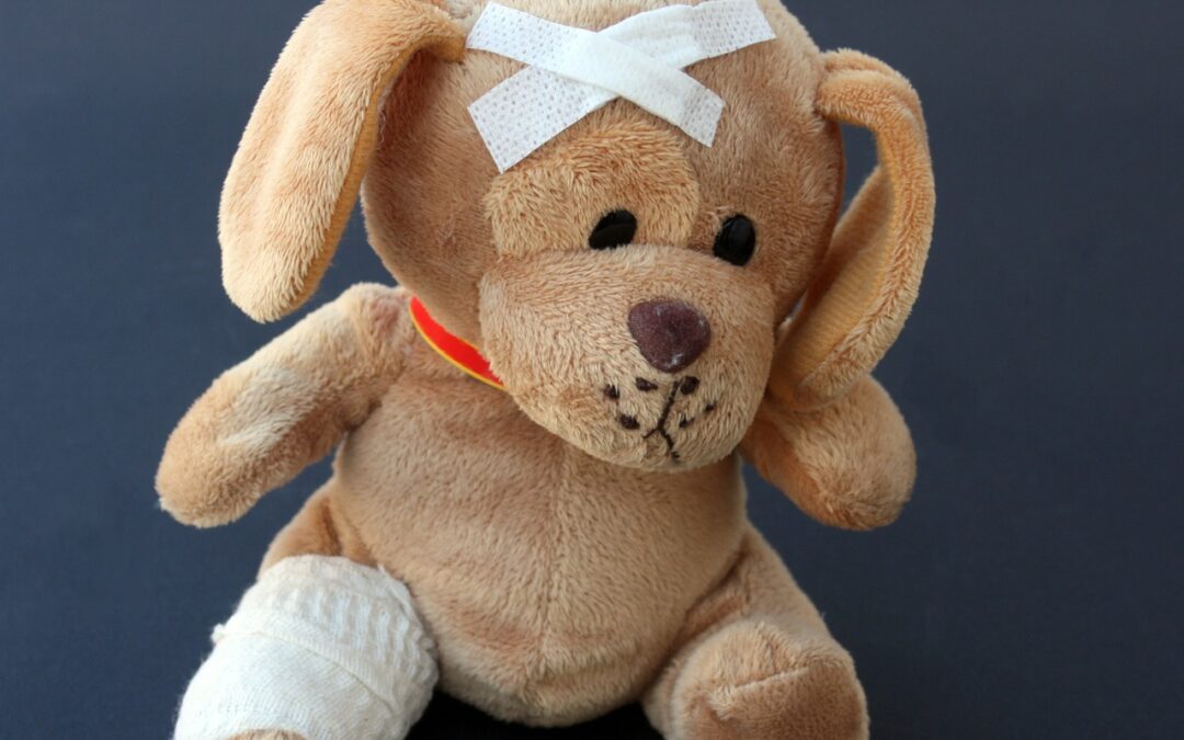Chiens et chats partagent nos vies et nos grippes