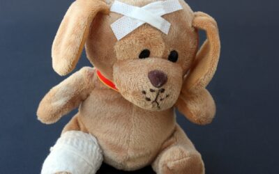 Chiens et chats partagent nos vies et nos grippes