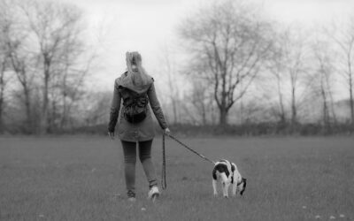 Pourquoi balader son chien dehors malgré le grand jardin à la maison ?