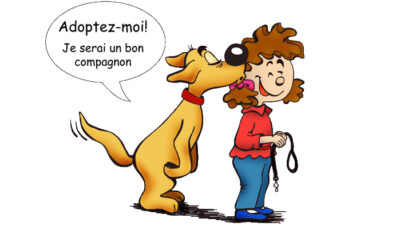 Adopter un chien
