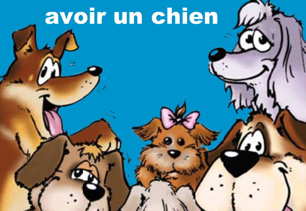 J’aimerais avoir un chien