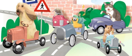 En route avec son animal de compagnie