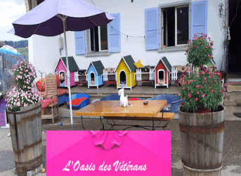 Stand à l’anniversaire des 10 ans de l’Oasis des vétérans