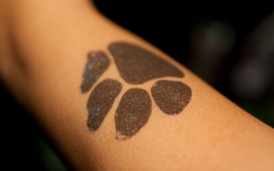 Des Tattoos pour « Les Pattounes »