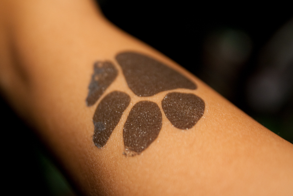 Des Tattoos pour « Les Pattounes »