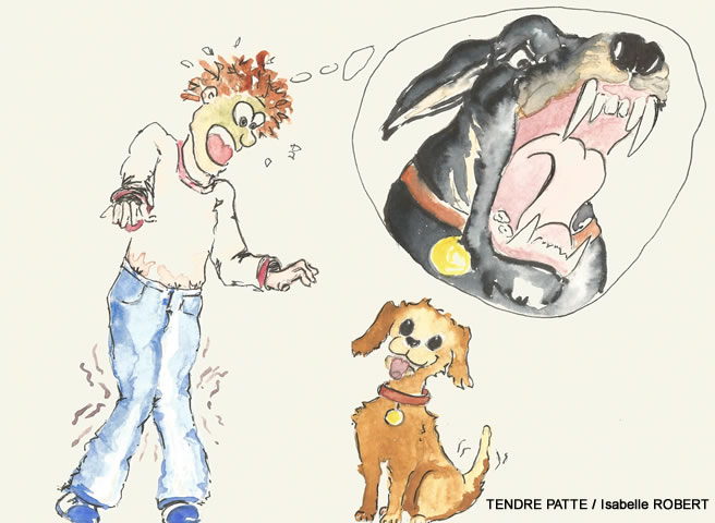 Peur panique des chiens