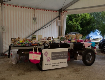Pique-nique des « Pattounes Du Coeur » à Cerlier