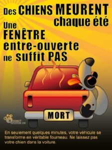 d3551a7a-ddfa-7184-4594-eee3eaf50a2c-2