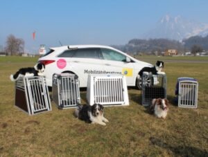 hundebox-test-5053