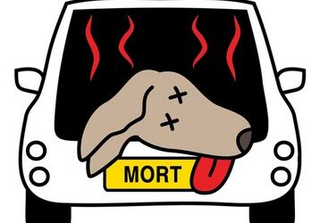 Ne laissez pas votre chien dans votre voiture!