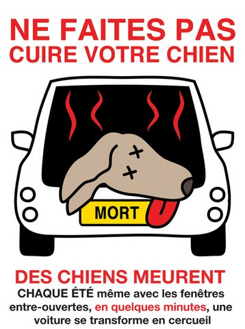 Ne laissez pas votre chien dans votre voiture!
