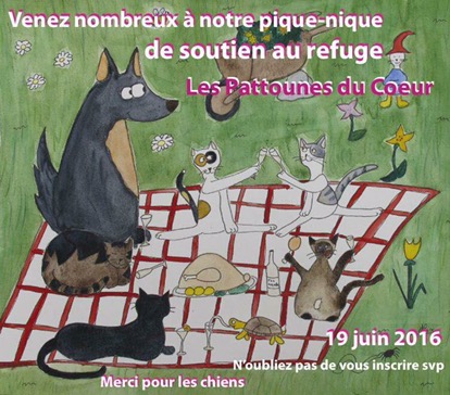 3ème pique-nique des « Pattounes Du Coeur »