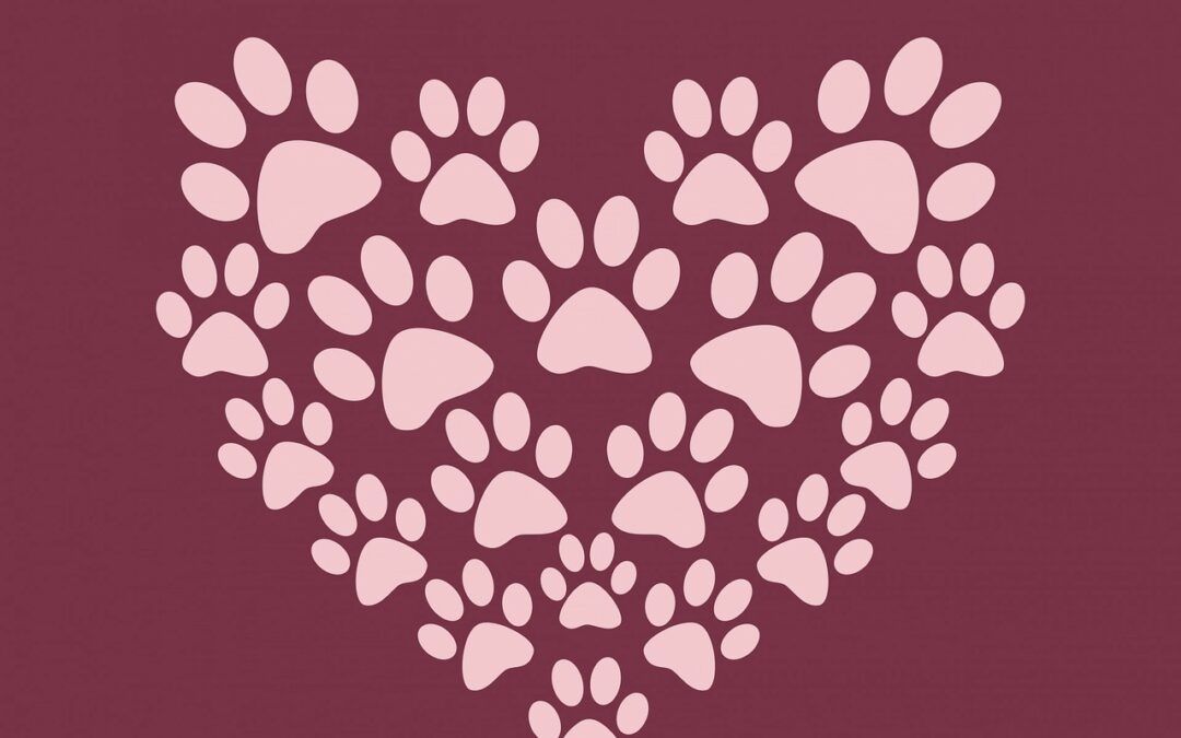 Le saviez-vous ? Votre cœur et celui de votre chien sont connectés !