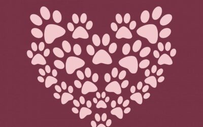 Le saviez-vous ? Votre cœur et celui de votre chien sont connectés !