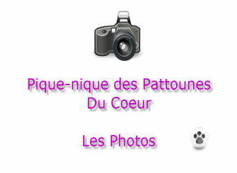 Les photos du pique-nique des « Pattounes Du Coeur »