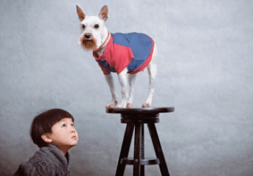 Même pas peur des chiens