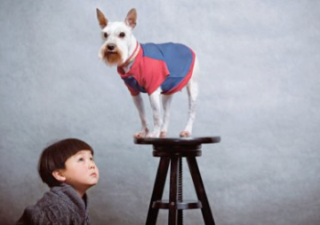 Même pas peur des chiens