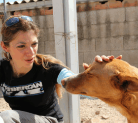 Premier reportage – Refuge Ribercan, Carcaïxent, Espagne