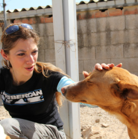 Premier reportage – Refuge Ribercan, Carcaïxent, Espagne