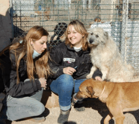 Premier voyage des « Pattounes Du Coeur »… les photos