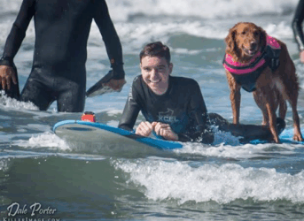 Un chien surfeur réalise le rêve d’un enfant malade