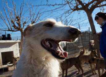 Visite du refuge Ribercan au mois de mars 2013 – Les photos sont là!
