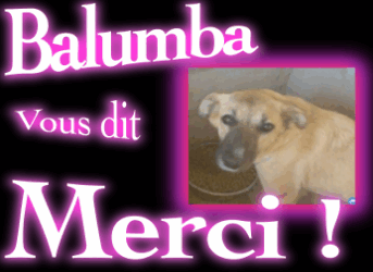 Opération pour Balumba ! MERCI !