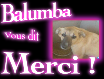 Opération pour Balumba ! MERCI !