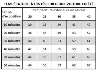 temperature_auto