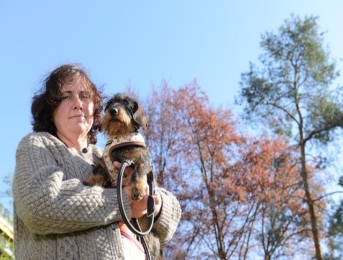 Françoise Weydert a pu sauver à temps "Baccarat", qui avait léché les insectes urticants tombés d'un arbre. Image: Christian Bonzon
