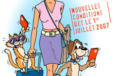 Voyager avec son chien