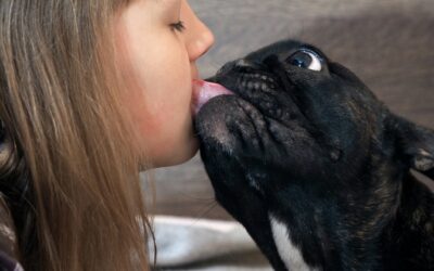 Le bisou du chien est-il bon pour la santé?