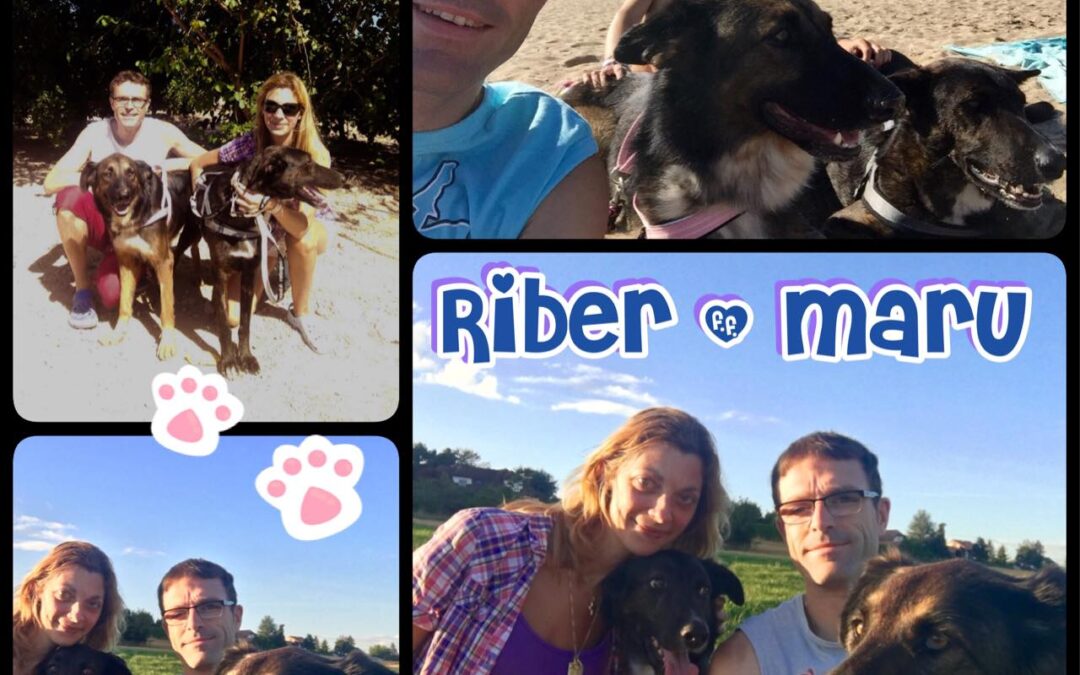 Adoption de Maru et Riber