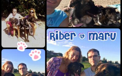 Adoption de Maru et Riber