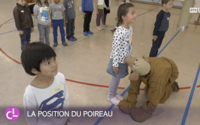Un programme pour prévenir les accidents par morsures de chiens