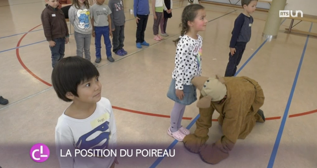 Un programme pour prévenir les accidents par morsures de chiens