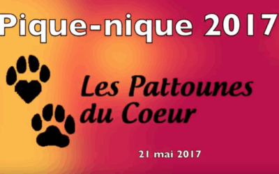 Voici la vidéo du Pique-Nique 2017