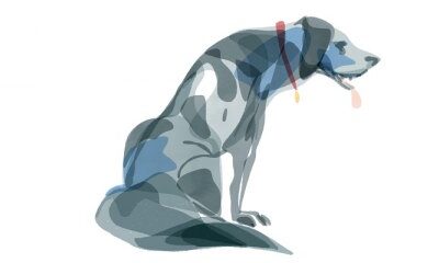 Nos animaux, nos coachs de vie au quotidien