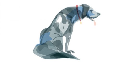 Nos animaux, nos coachs de vie au quotidien