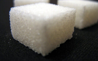 Les sucres naturels, vrai poison pour nos toutous