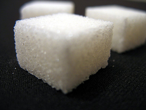 Les sucres naturels, vrai poison pour nos toutous