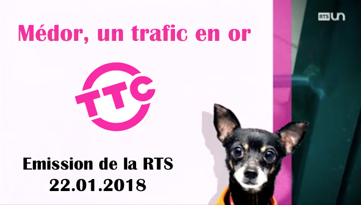 Médor, un trafic en or