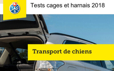 Transport de chiens – Tests du TCS 2018