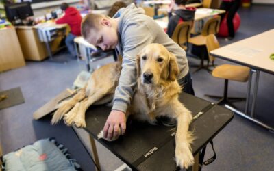 Un chien à l’école