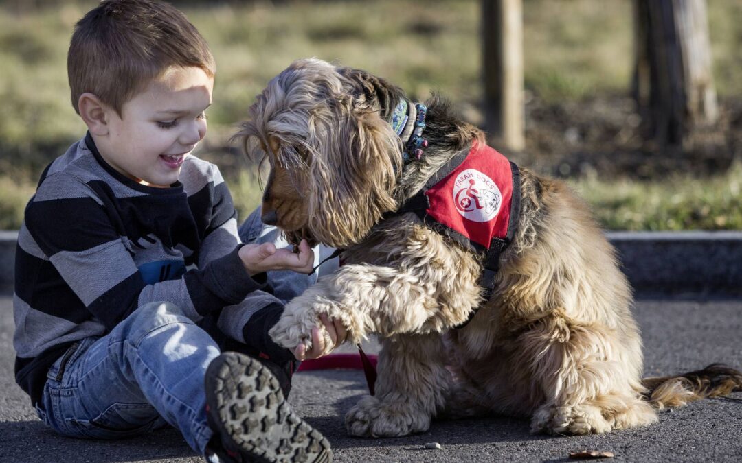 Ces chiens qui aident les malades
