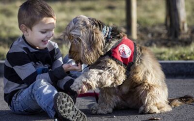 Ces chiens qui aident les malades
