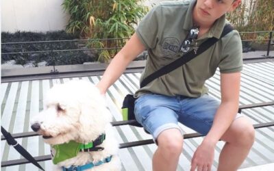 Des chiens renifleurs pour les diabétiques