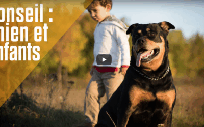Conseil : Chien et enfants
